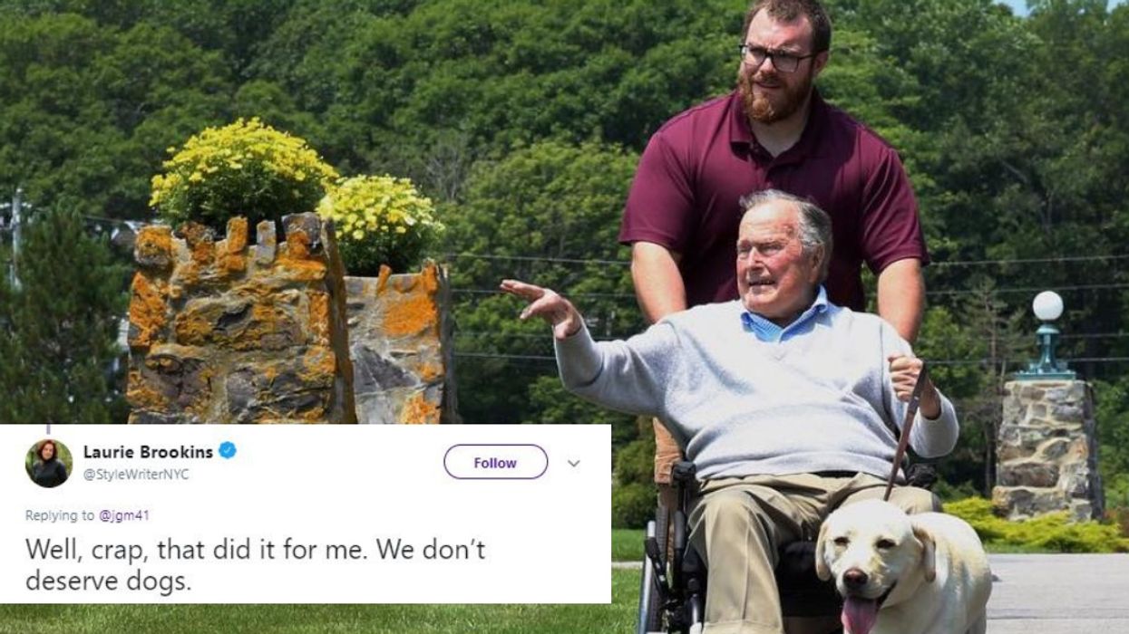 Image Of George H.W. Bush's Faithful Service Dog Is Giving Us All The Feels 💔
