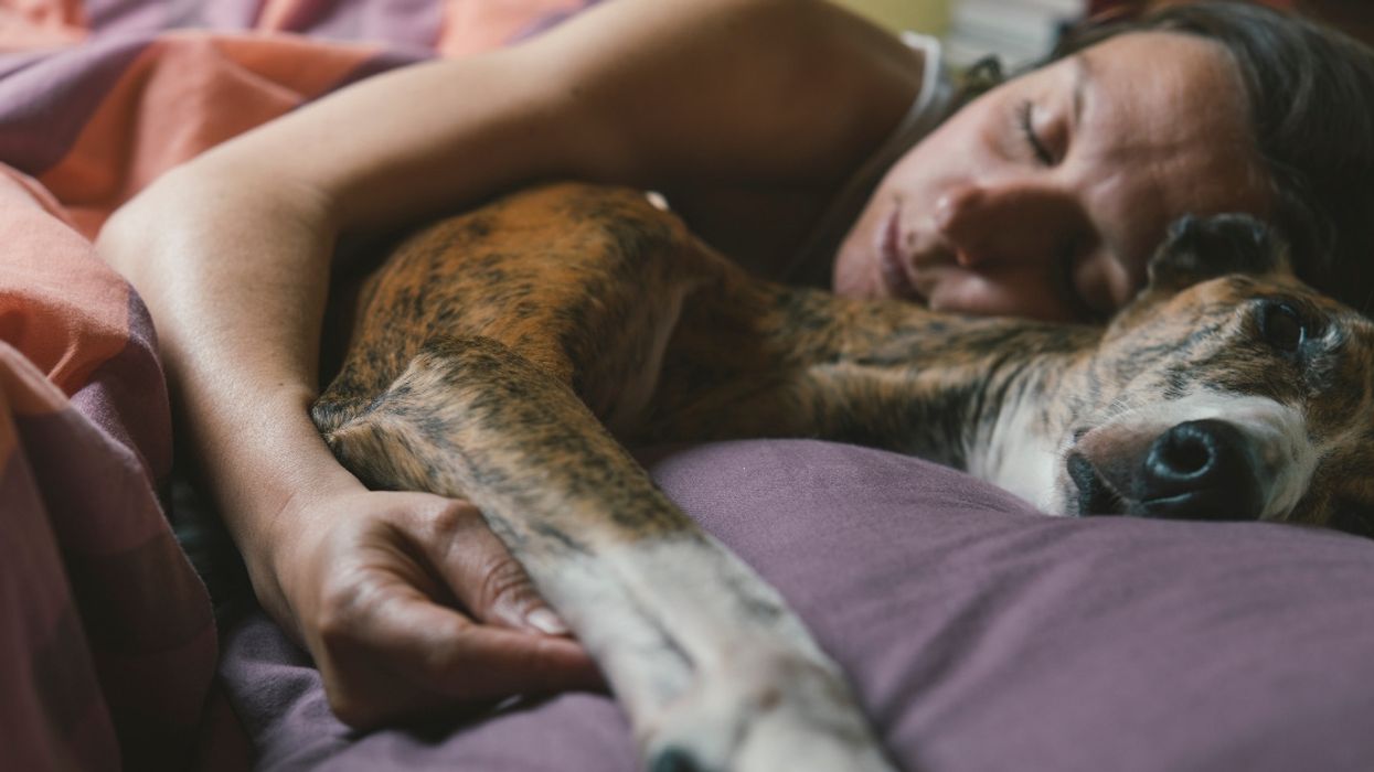 A New Sleep Study About Women And Their Dogs May Have Some Women Kicking Their Partners Out Of Bed