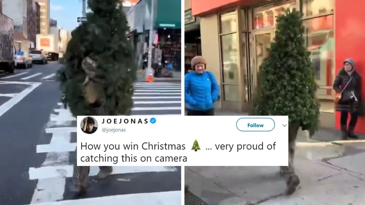 Guy Wins Christmas By Dressing Up Like A Christmas Tree And Walking Around New York City 🎄😂