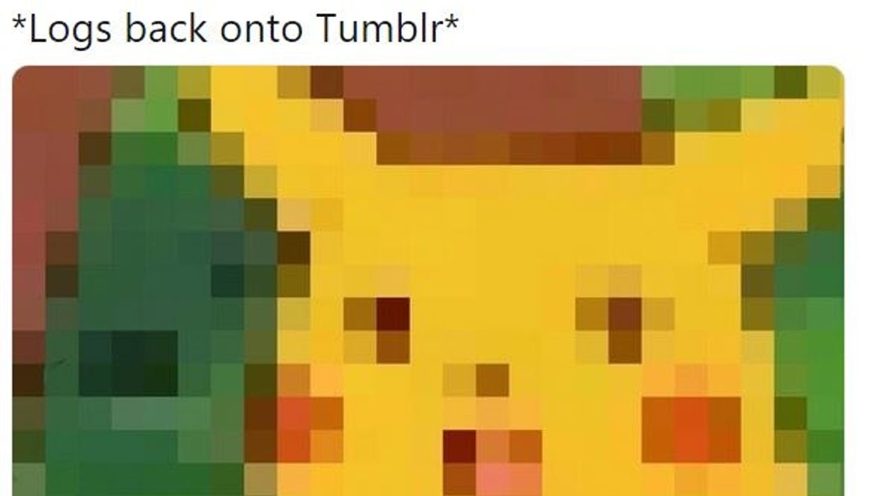 These Hilarious Memes Will Help You Mourn The Loss Of Porn On Tumblr
