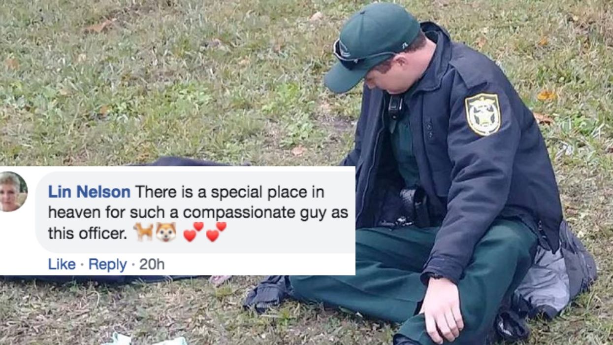 Photo Of A Florida Deputy Comforting An Injured Dog On The Side Of The Road Goes Viral 😍