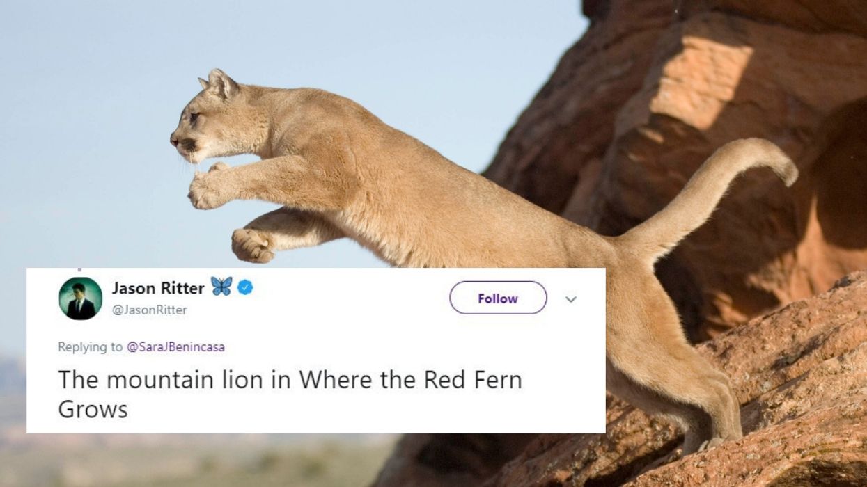 People Are Revealing The One Fictional Character They'd Kill Off If They Could 😵