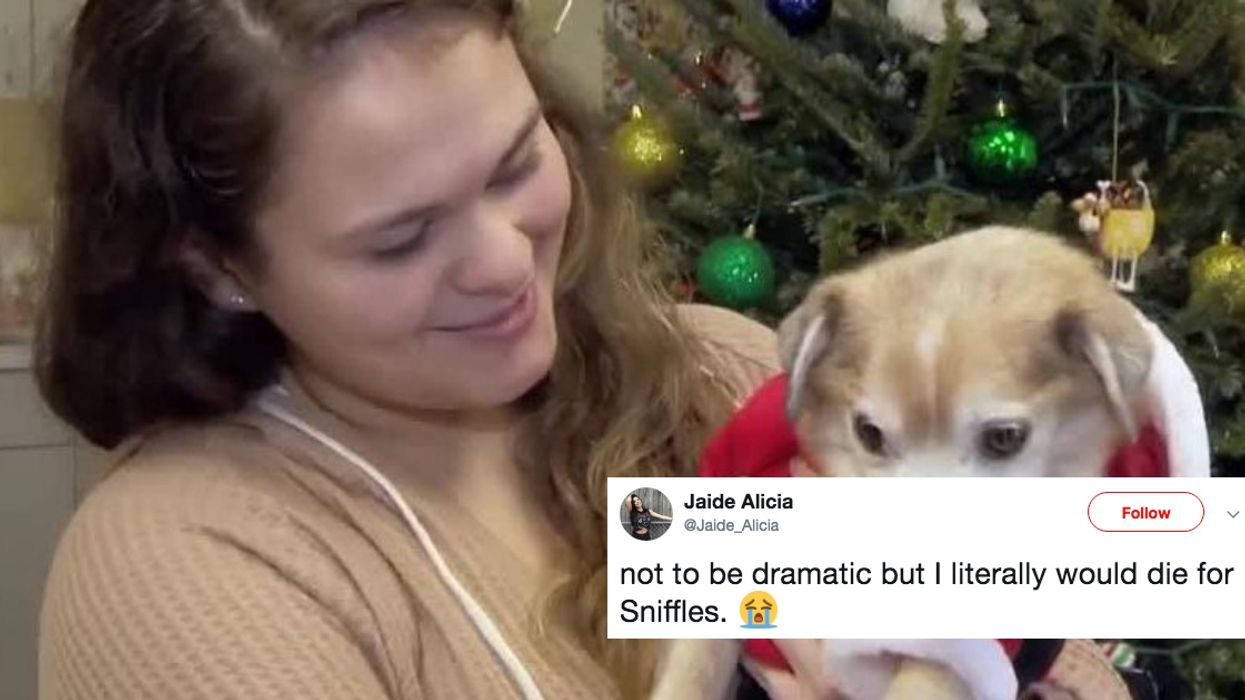 'Sniffles' The Dog Who Lost His Nose Is Looking For A Forever Home—And The Internet Is Smitten ❤️