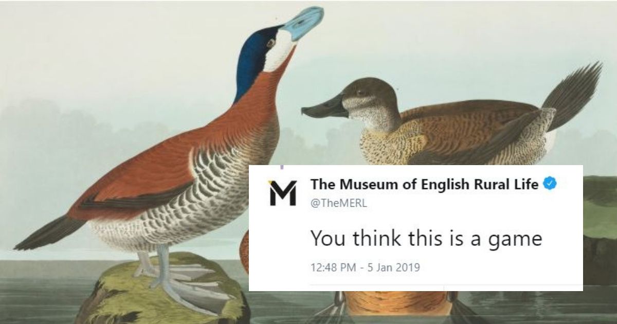 Museums Are Trying To One-Up Each Other With Pictures Of Ducks—And We're Quacking Up 🦆😂