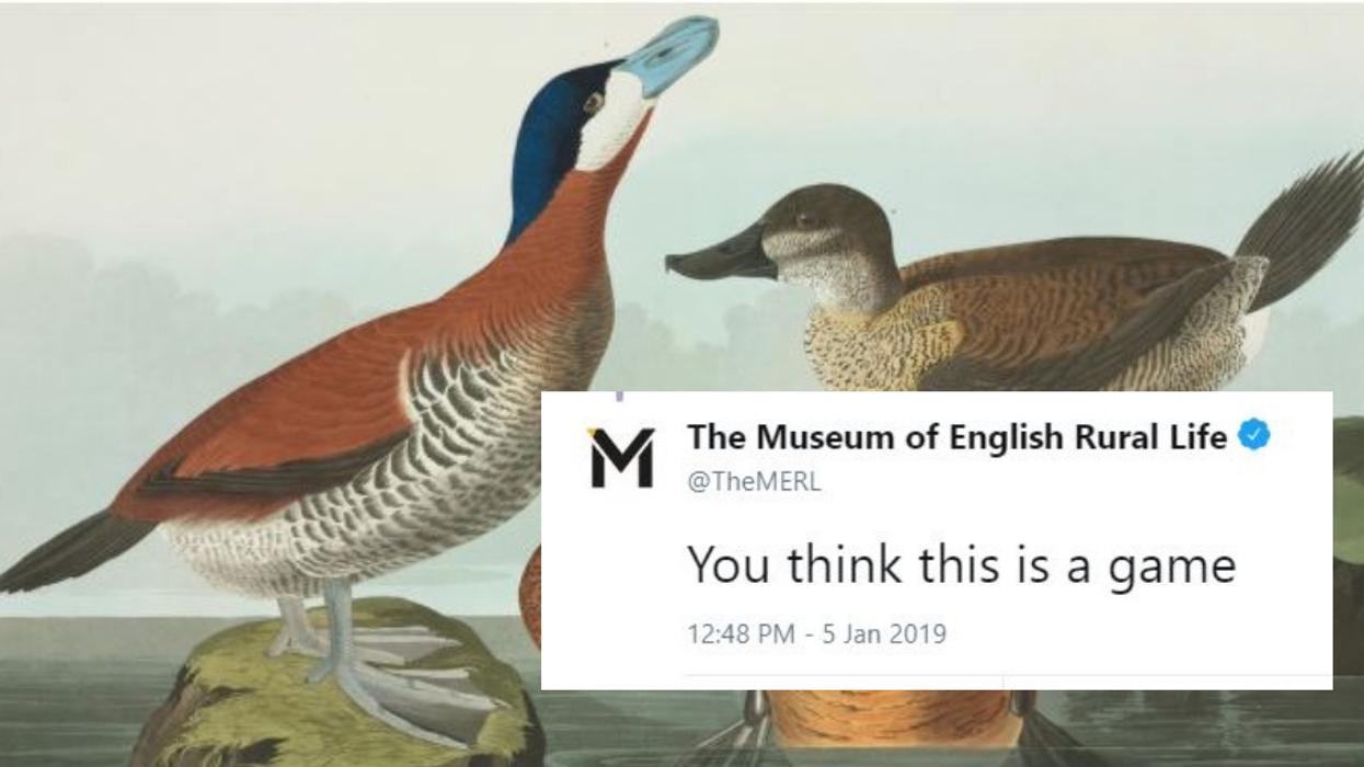 Museums Are Trying To One-Up Each Other With Pictures Of Ducks—And We're Quacking Up 🦆😂
