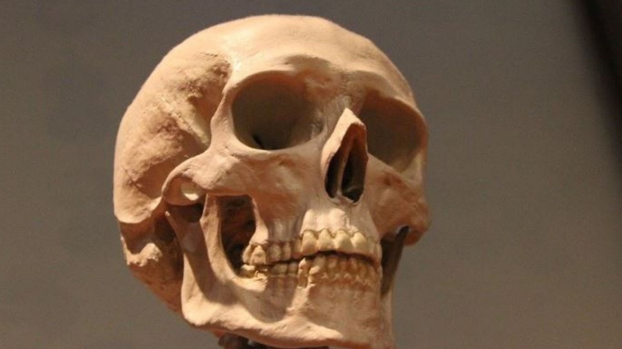 Blue Paint Found On Woman's Teeth From Middle Ages Hailed As 'Bombshell' Discovery—Here's Why