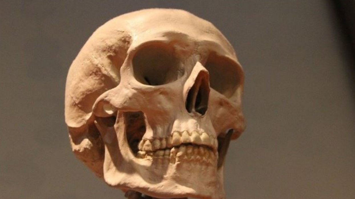 Blue Paint Found On Woman's Teeth From Middle Ages Hailed As 'Bombshell' Discovery—Here's Why