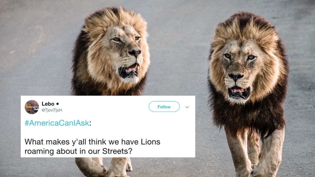 South Africans Are Roasting Americans With Hilarious #AmericaCanIAsk Questions 😂