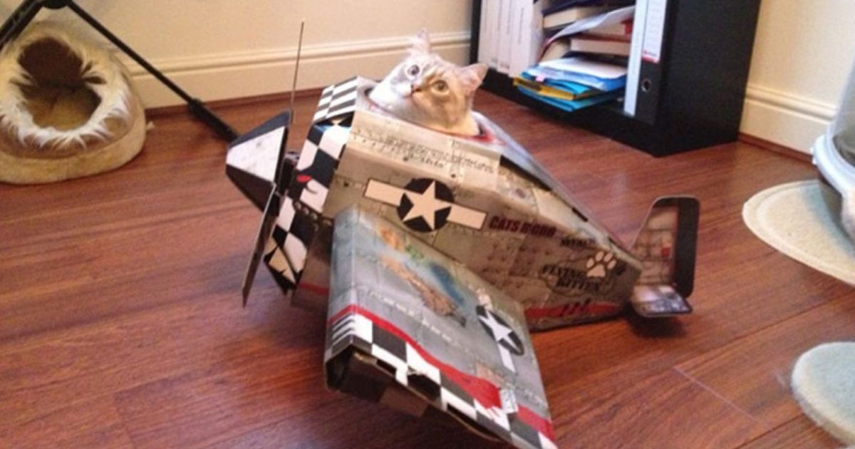 Help Foster Your Cat's Destructive Imagination With These Cardboard Military Vehicles And Gadgets 😼