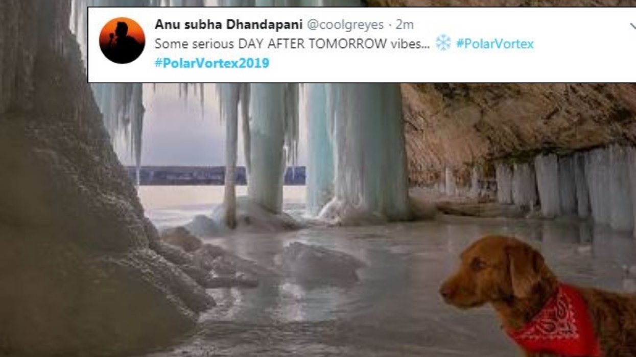 At The Very Least The Polar Vortex Has Given Us Some Stunning Frozen Photos