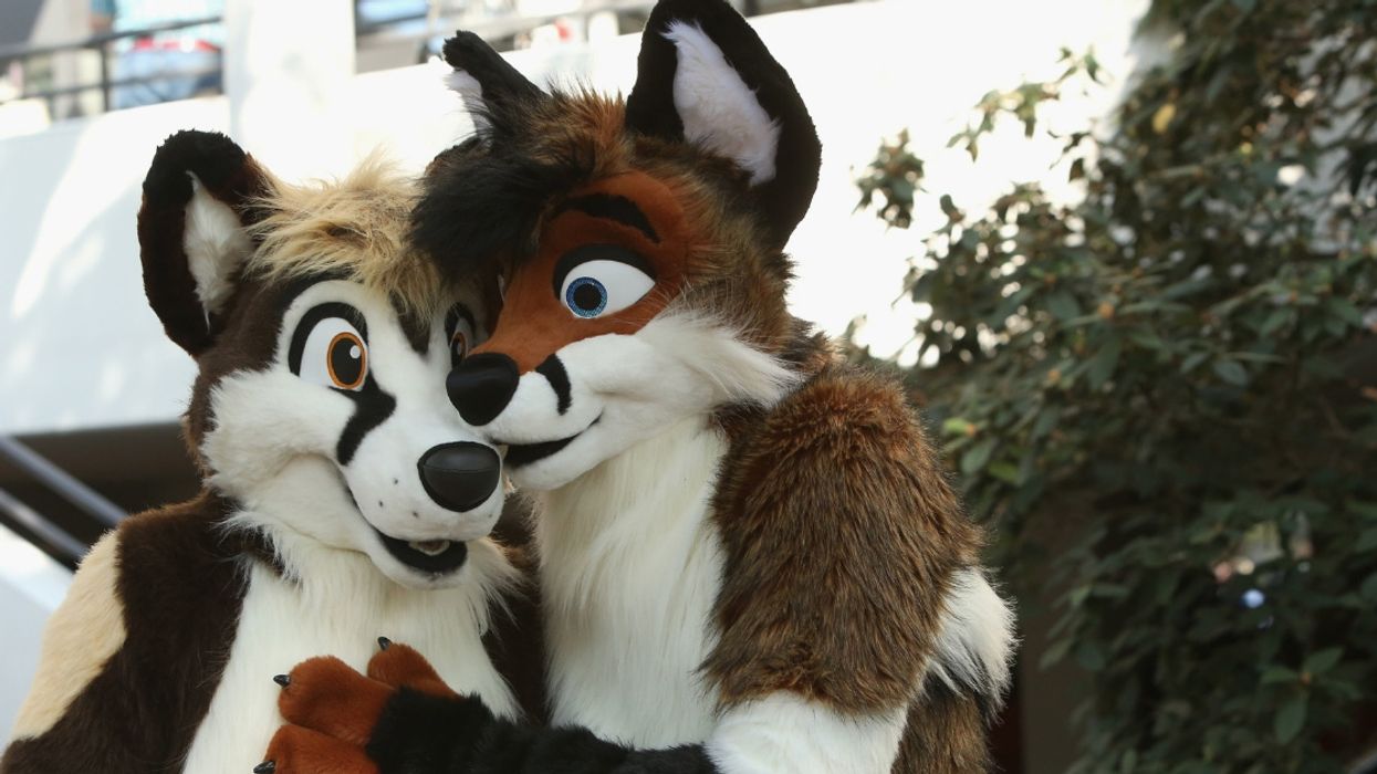 Guy Buys Islamophobic Hate Group's Domain Name And Turns It Into An Erotic Furry Site