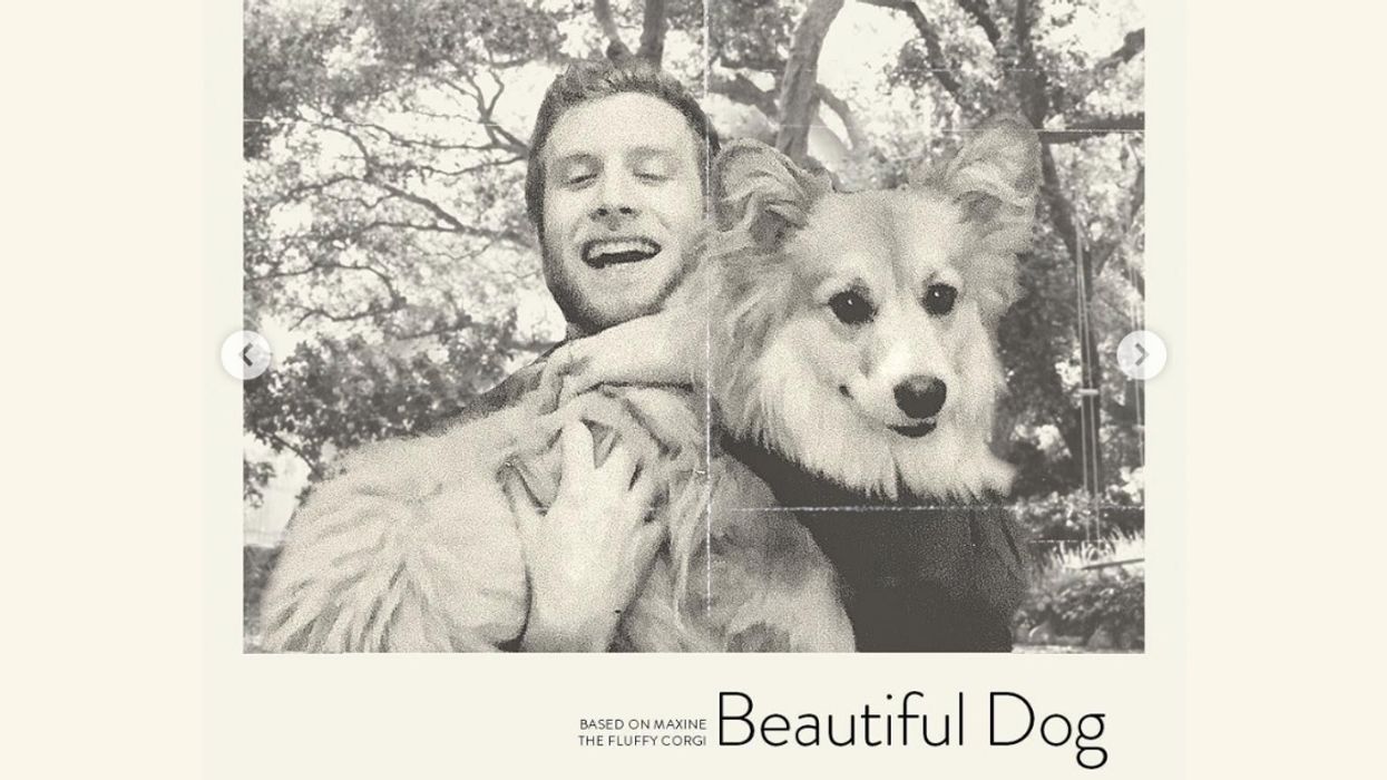 A Woman Photoshopped Her Corgi Into Popular Movie Posters And It's Perfection