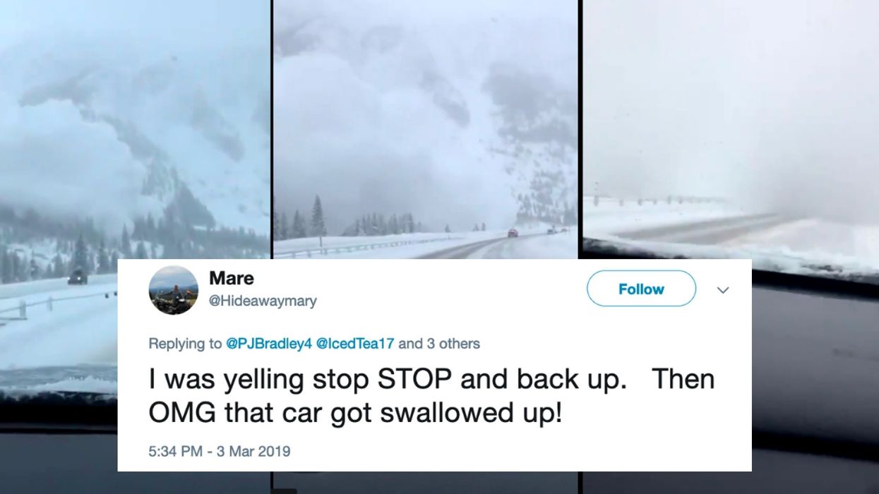 Wild Videos Show Just How Close Some Drivers Got To Being Swept Up In A Colorado Avalanche