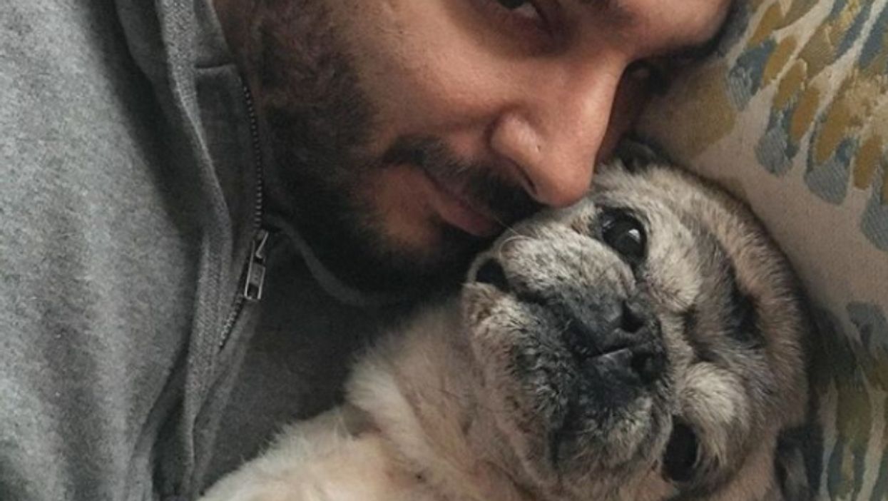 Animal Rescue Center Uses A Mannequin Look-Alike To Cure Pug's Separation Anxiety From Its Owner