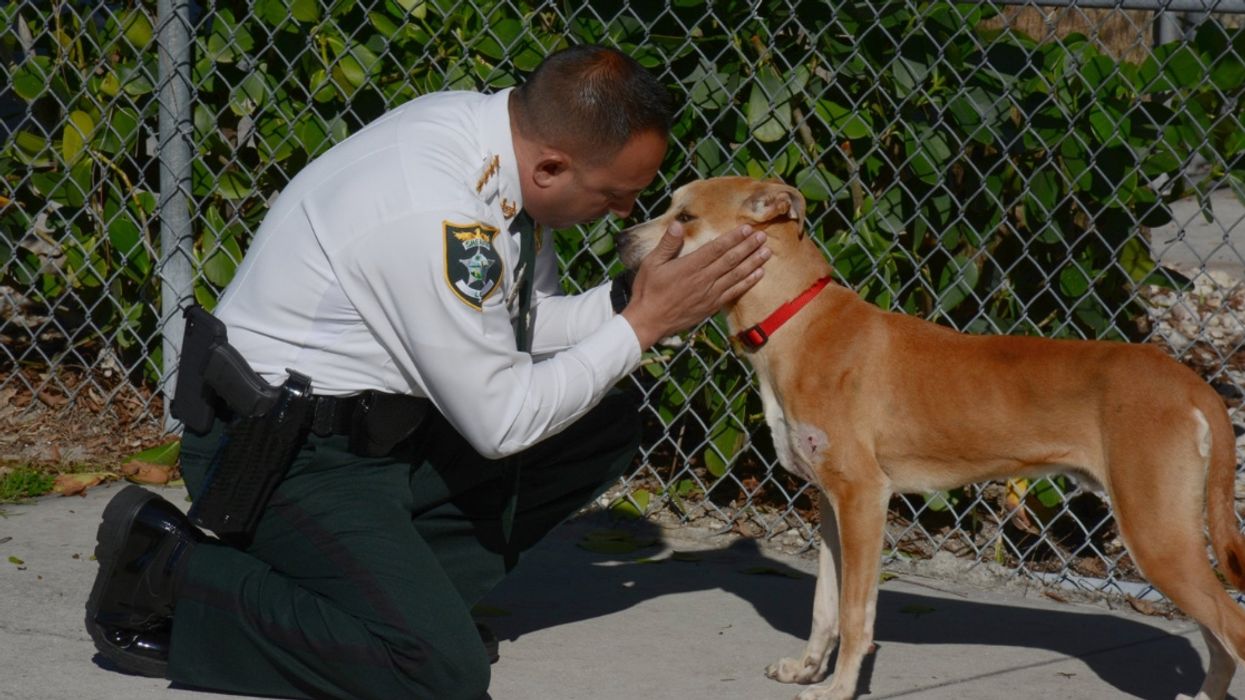 Dog Who Was Found With His Mouth Taped Shut Just Found The Perfect Owner To Keep Him Safe