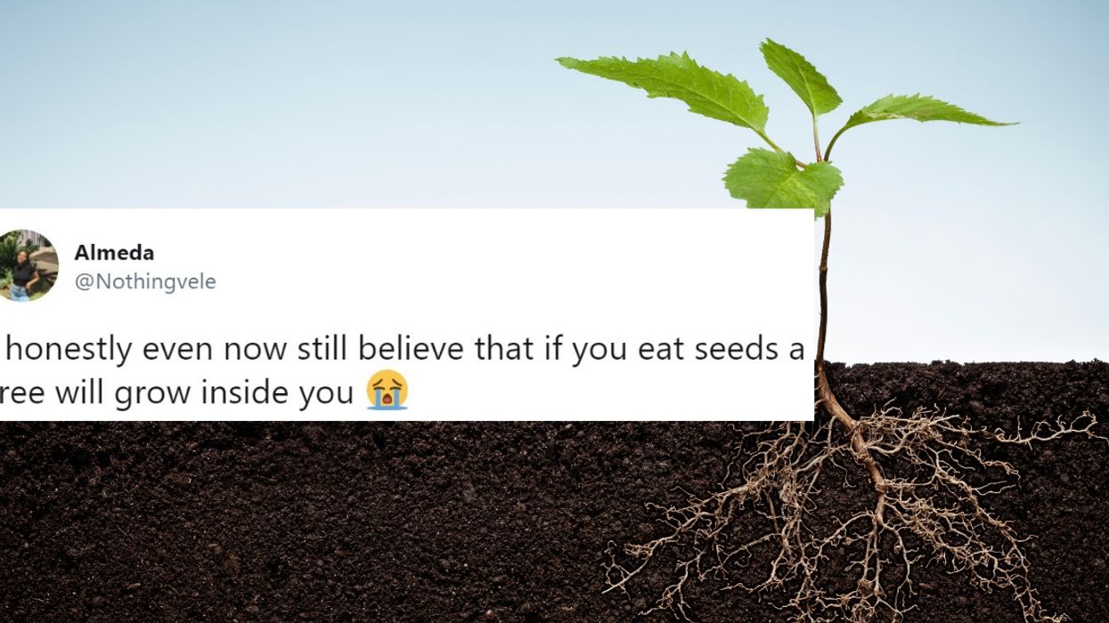 People Are Sharing The Dumbest Things They Actually Believed As Kids, And There Are Some Real Doozies