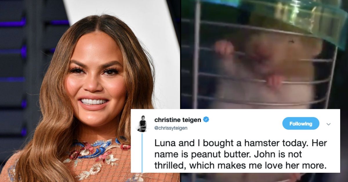 Chrissy Teigen Just Became A New 'Hamster Mom'—And She's Already In Over Her Head