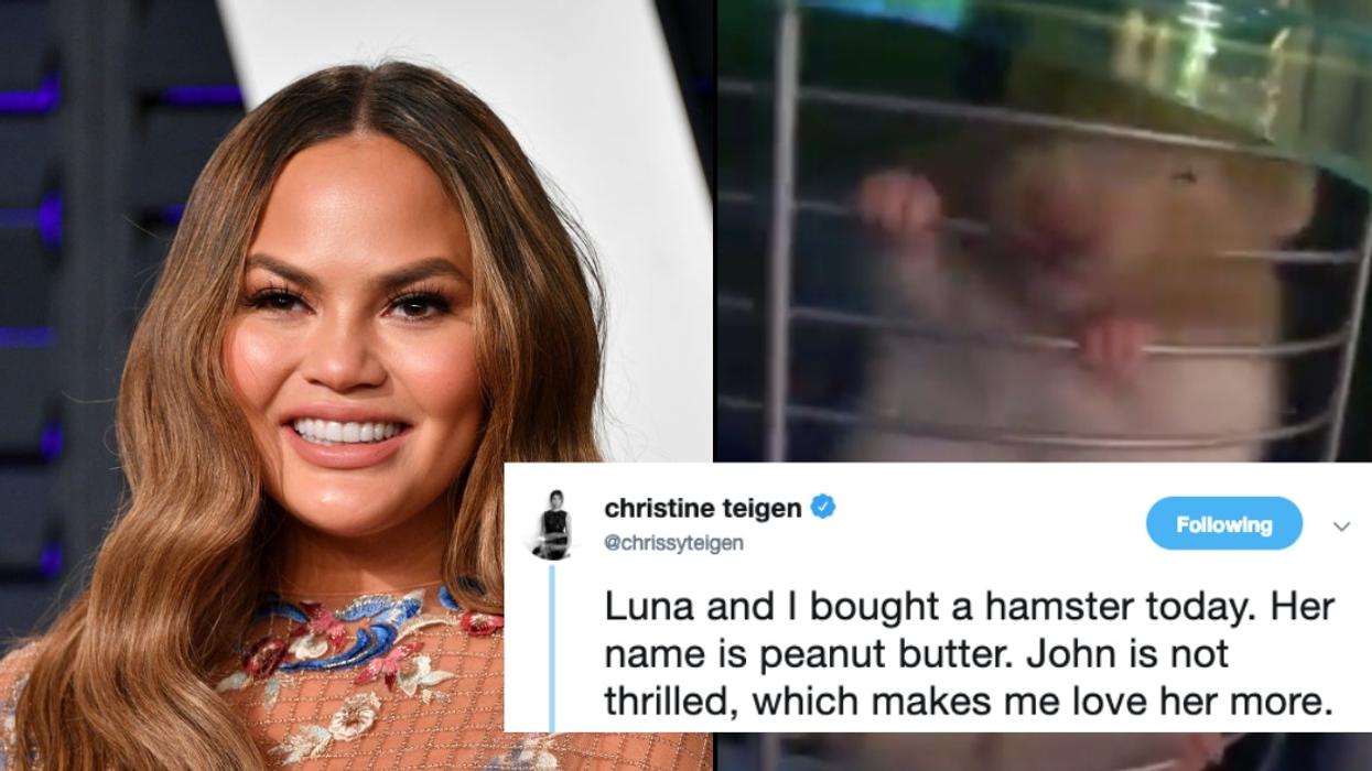 Chrissy Teigen Just Became A New 'Hamster Mom'—And She's Already In Over Her Head