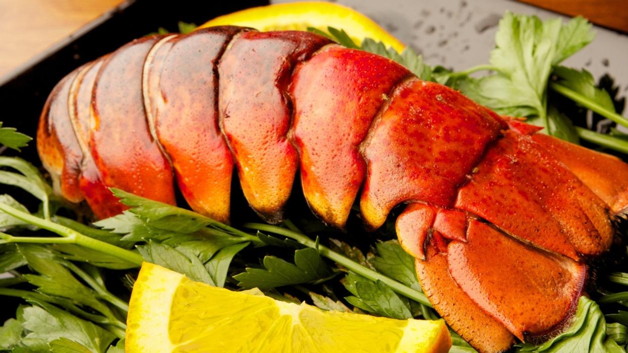 The Staggering Amount The Pentagon Spent On Lobster Tail And Other Luxury Food Items Last Year Has Our Heads Spinning