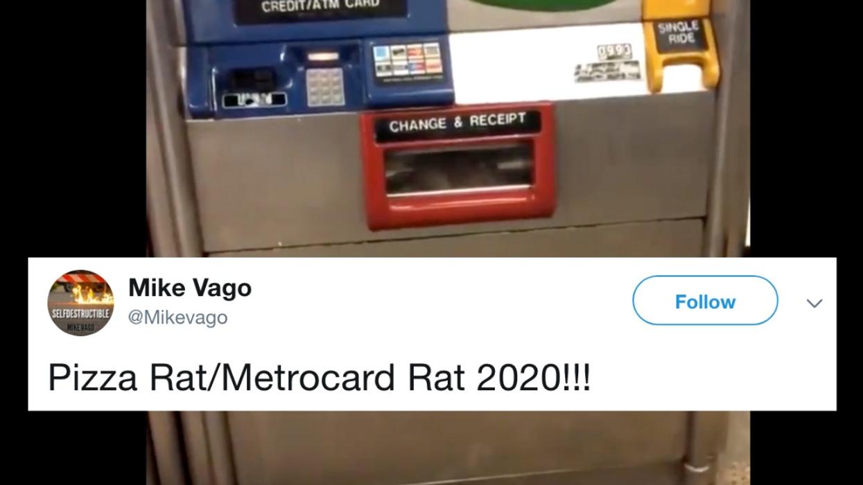 Forget Pizza Rat, MetroCard Rat Is NYC's Hottest New Subway-Related Rat—But We Have So Many Questions