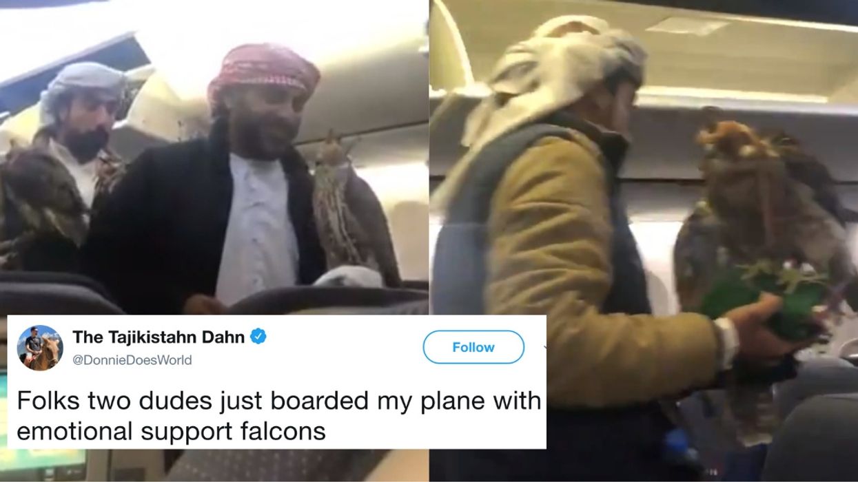 Passengers Get A Shock As Men Bring Three 'Well-Behaved' Falcons On Board Flight To Dubai