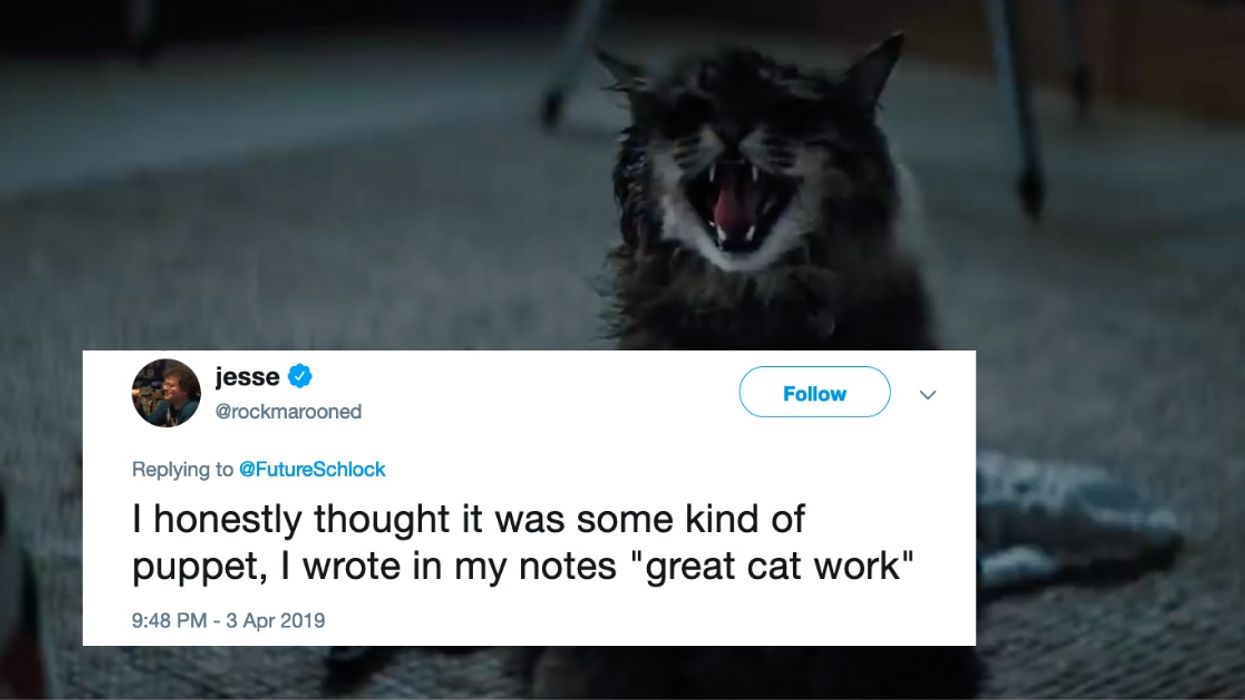 Everyone Is Hilariously Wondering The Same Thing About That Creepy Cat From 'Pet Sematary'
