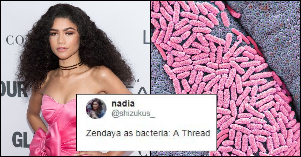 These Threads Of Celebrities As Random, Everyday Things Are Hilariously Accurate