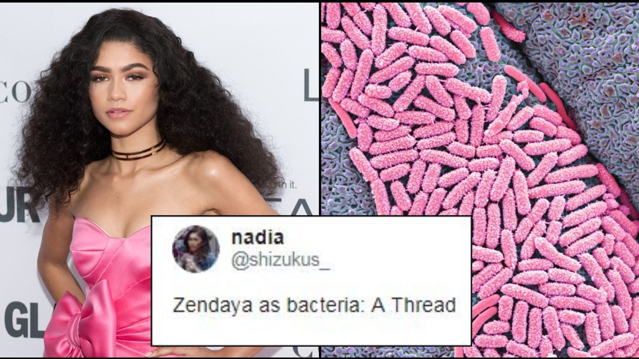 These Threads Of Celebrities As Random, Everyday Things Are Hilariously Accurate