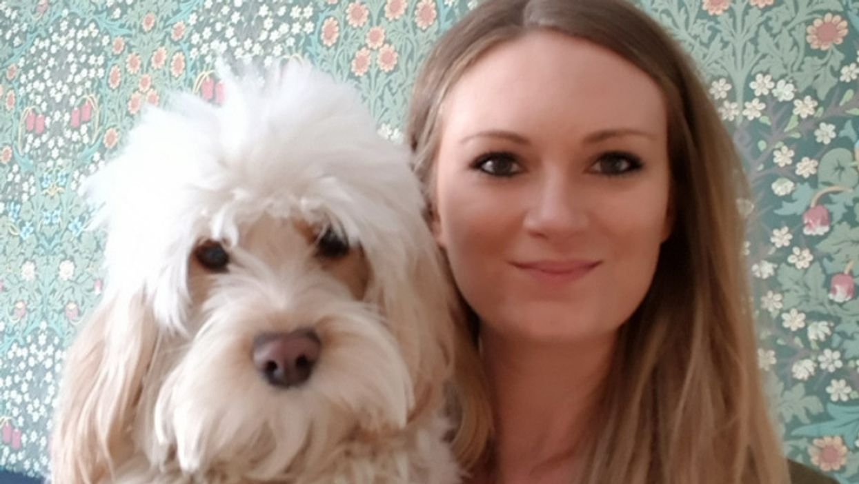 Pampered Dog Who Eats Steak And Has An Expensive Designer Jacket Will Be The Ring Bearer At Her Owners' Wedding