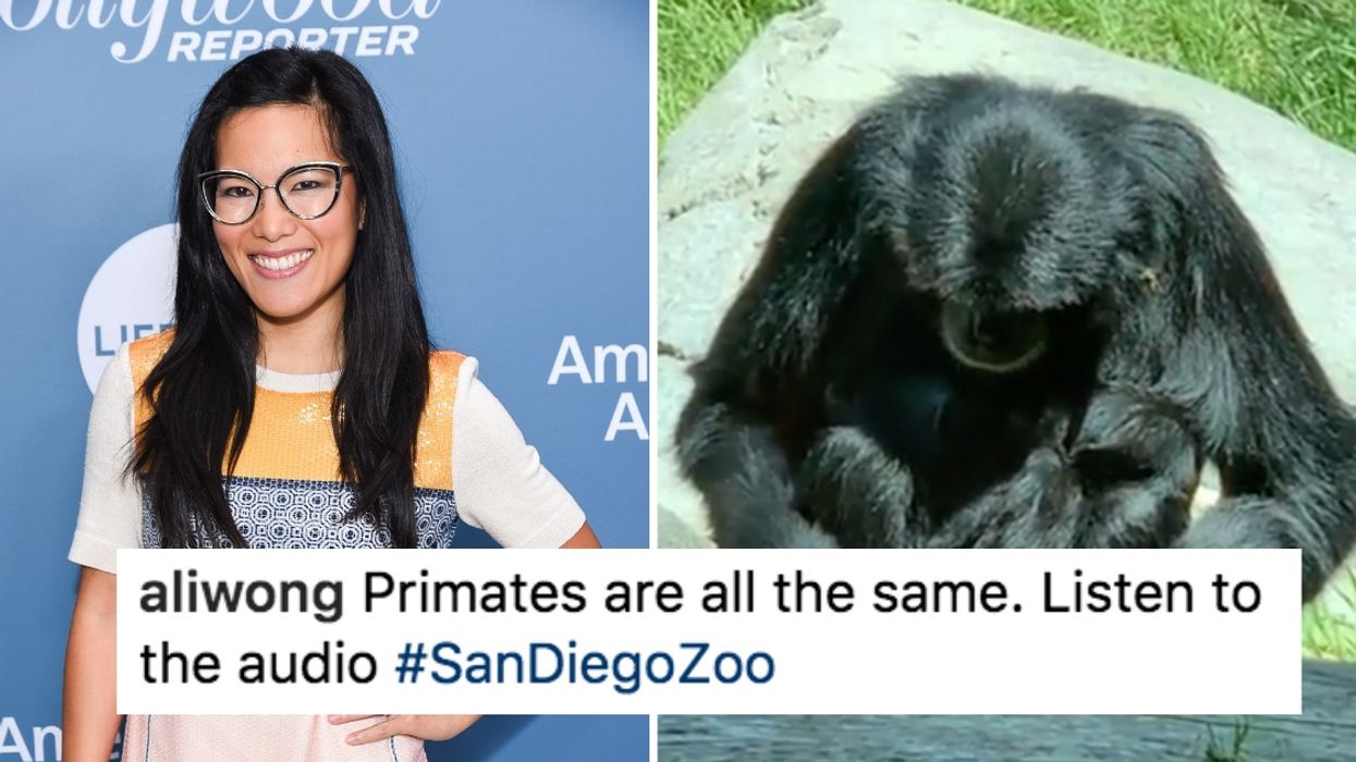Comedian Ali Wong Witnesses The Perfect Metaphor For New Motherhood During A Trip To The Zoo