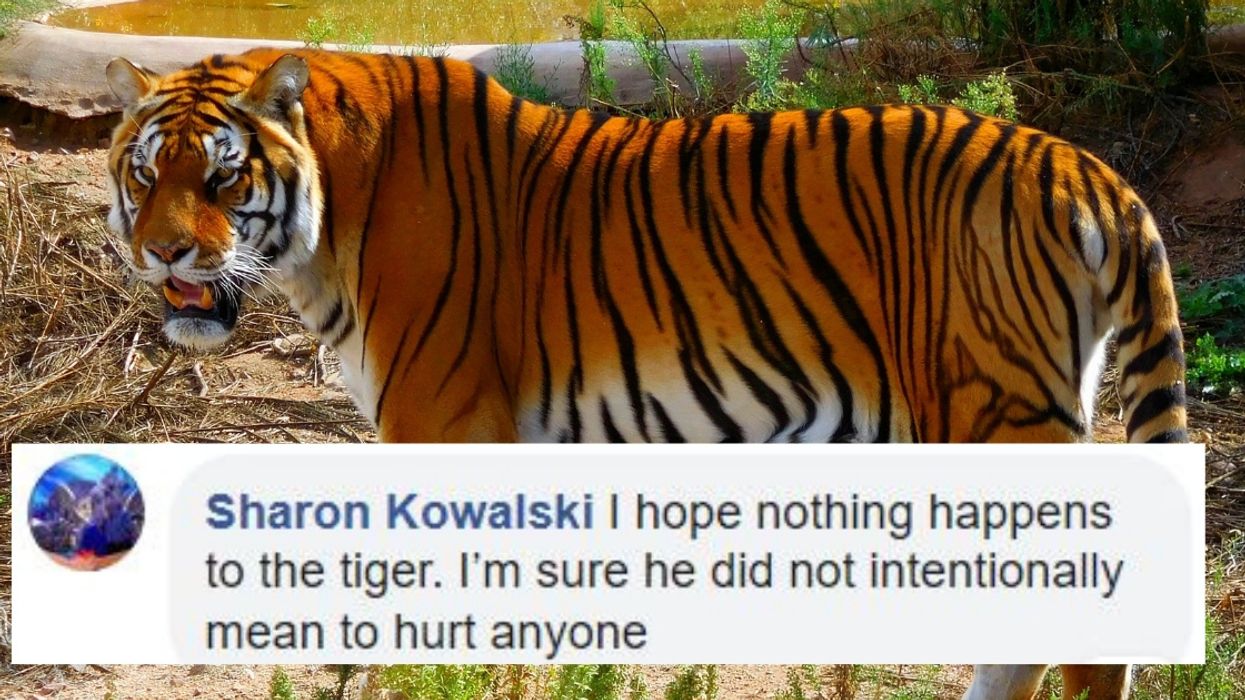 73-Year-Old Former Las Vegas Entertainer Who Was Mauled By Tiger Explains What Happened