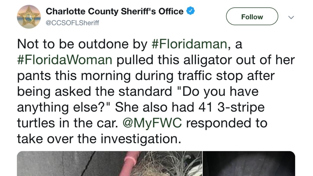 Florida Woman Casually Pulls Small Alligator Out Of Her Pants During Traffic Stop Because, Well, Florida