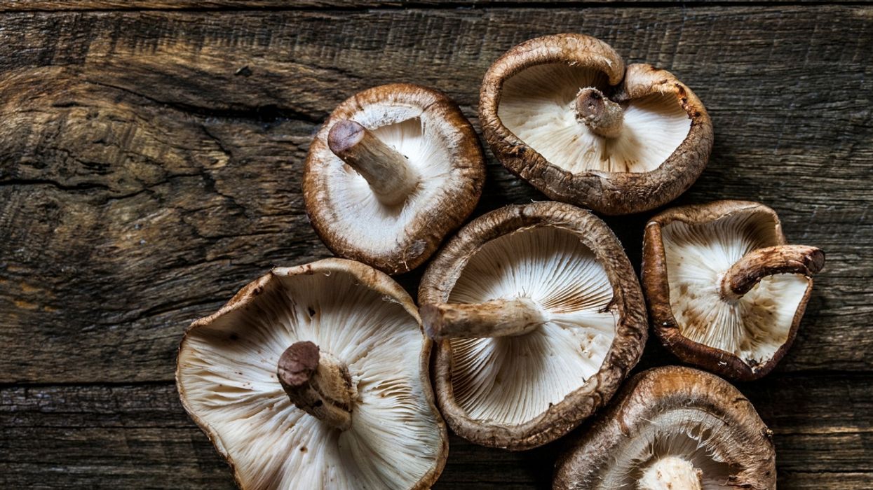 Denver Is Officially The First City In America To Legalize Psychedelic Mushrooms