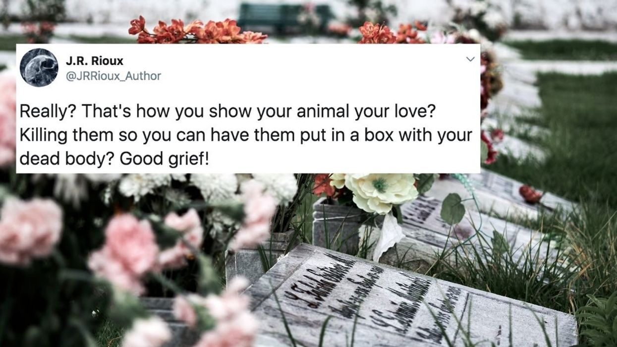 Woman's Decision To Euthanize Her Healthy Dog So It Could Be Buried With Her Ignites Firestorm Of Controversy