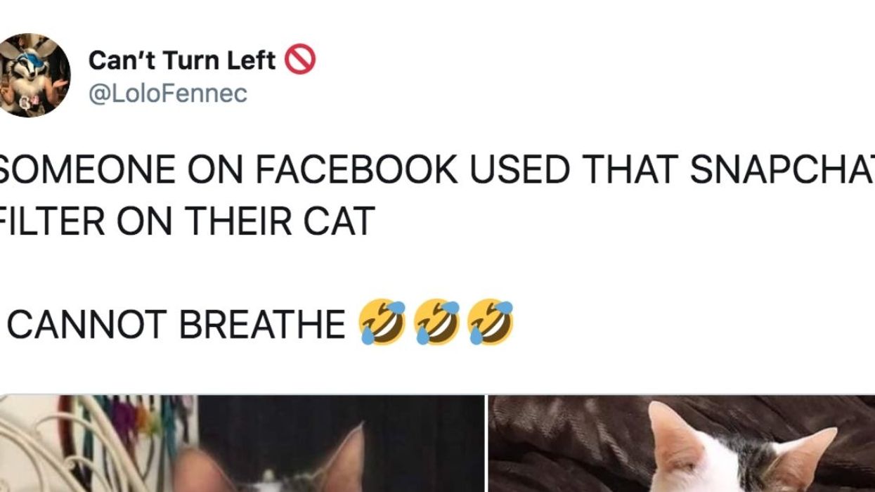 Someone Just Used That Gender Filter In The Most Hilariously Disturbing Way Possible