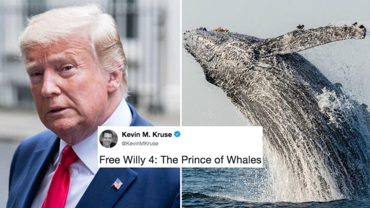 Trump's 'Prince Of Whales' Gaffe On Twitter Naturally Led To An Ocean Of Memes