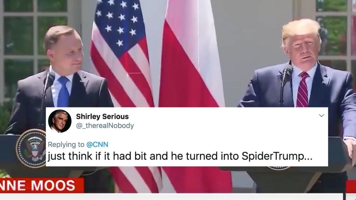 A Bizarre Spider Web Running Between Trump and The Polish President Stole The Show During A Recent Press Conference