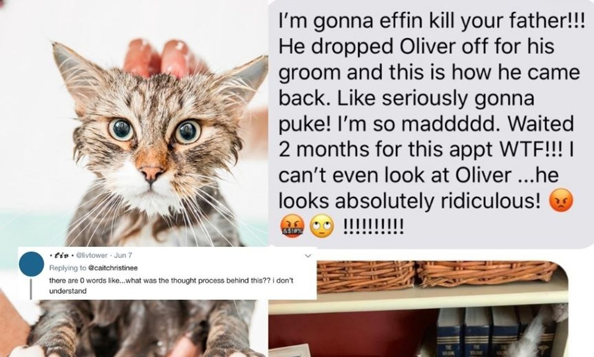This Mom Will Never Trust Her Husband To Take Their Cat To The Groomers Ever Again