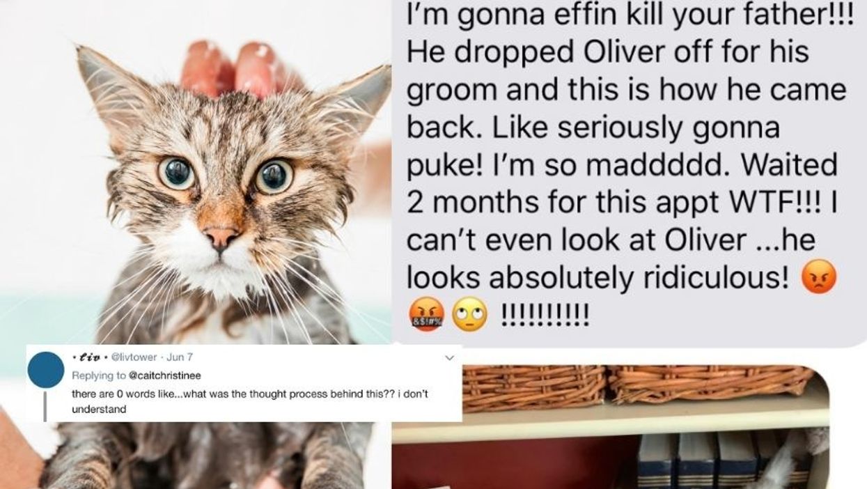 This Mom Will Never Trust Her Husband To Take Their Cat To The Groomers Ever Again
