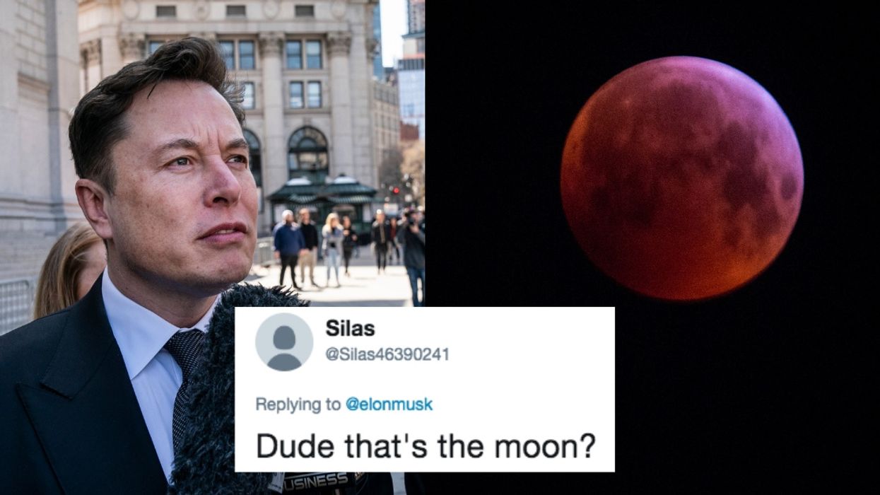 Elon Musk Just Confused The Moon For Mars, And Twitter Roasted Him Hard For It