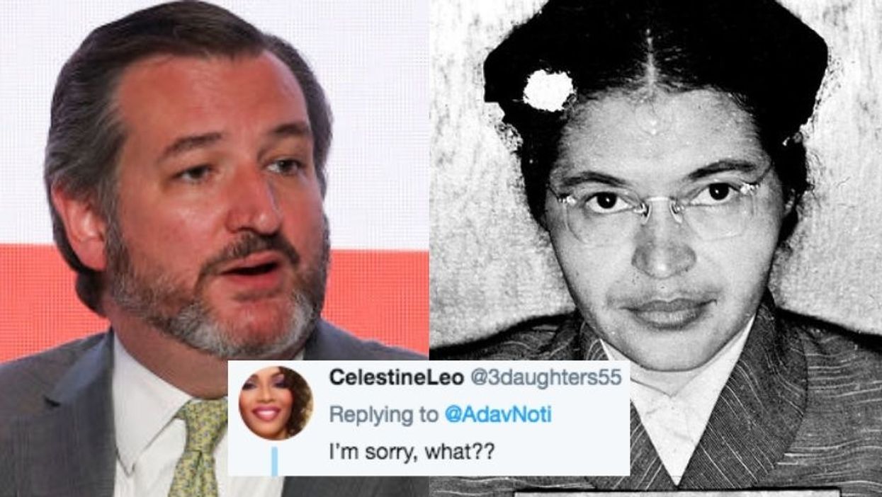Ted Cruz's Lawyers Just Tried To Compare Him To Rosa Parks, And People Are Flabbergasted