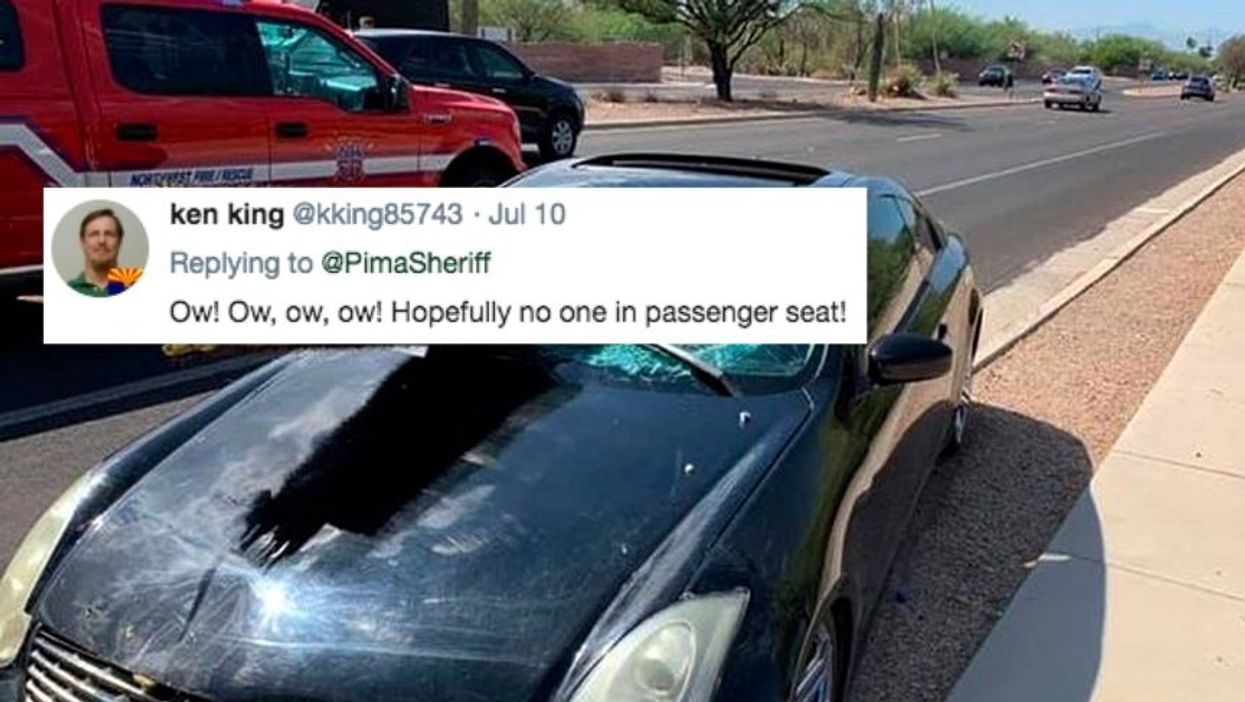 This Arizona Driver Found Themselves In A Prickly Predicament