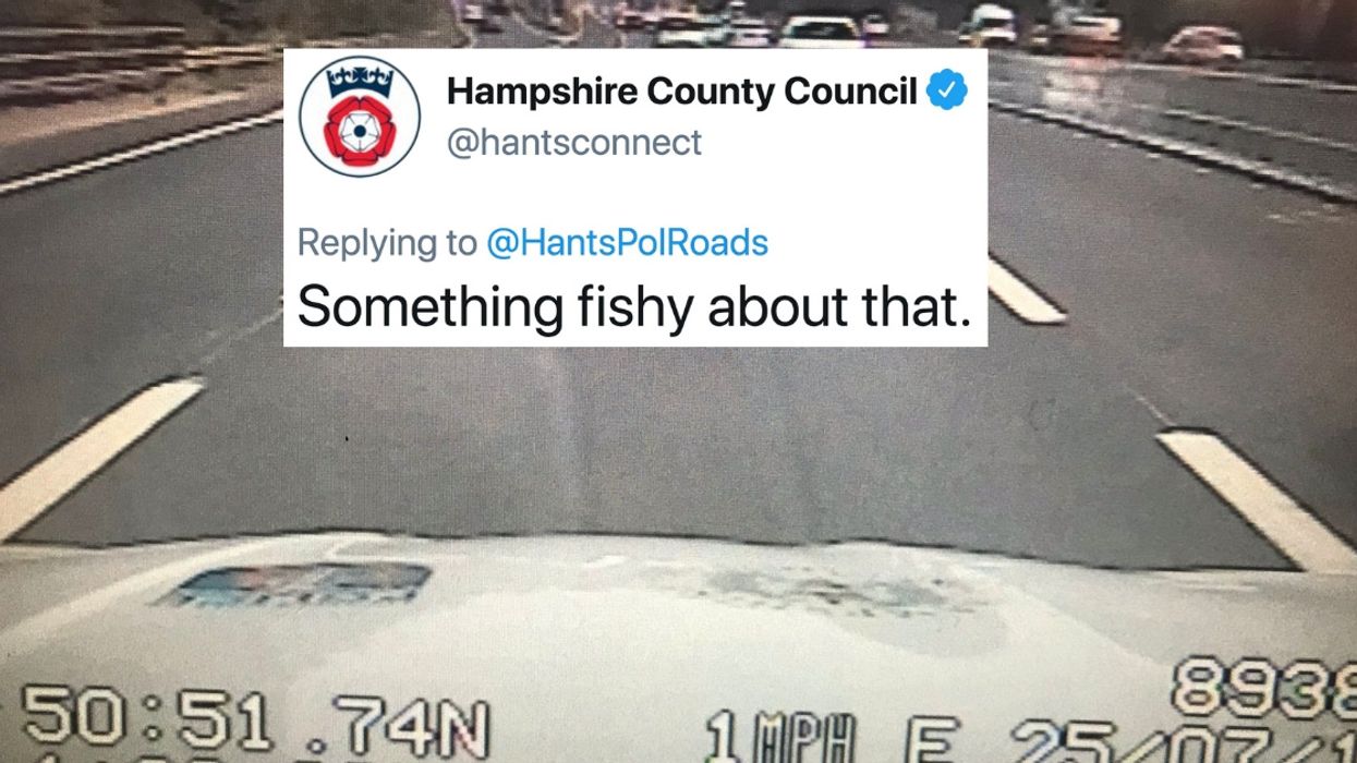 Police Pen Hilarious Post After Coming To The Rescue Of Some 'Interesting Debris' On The Highway