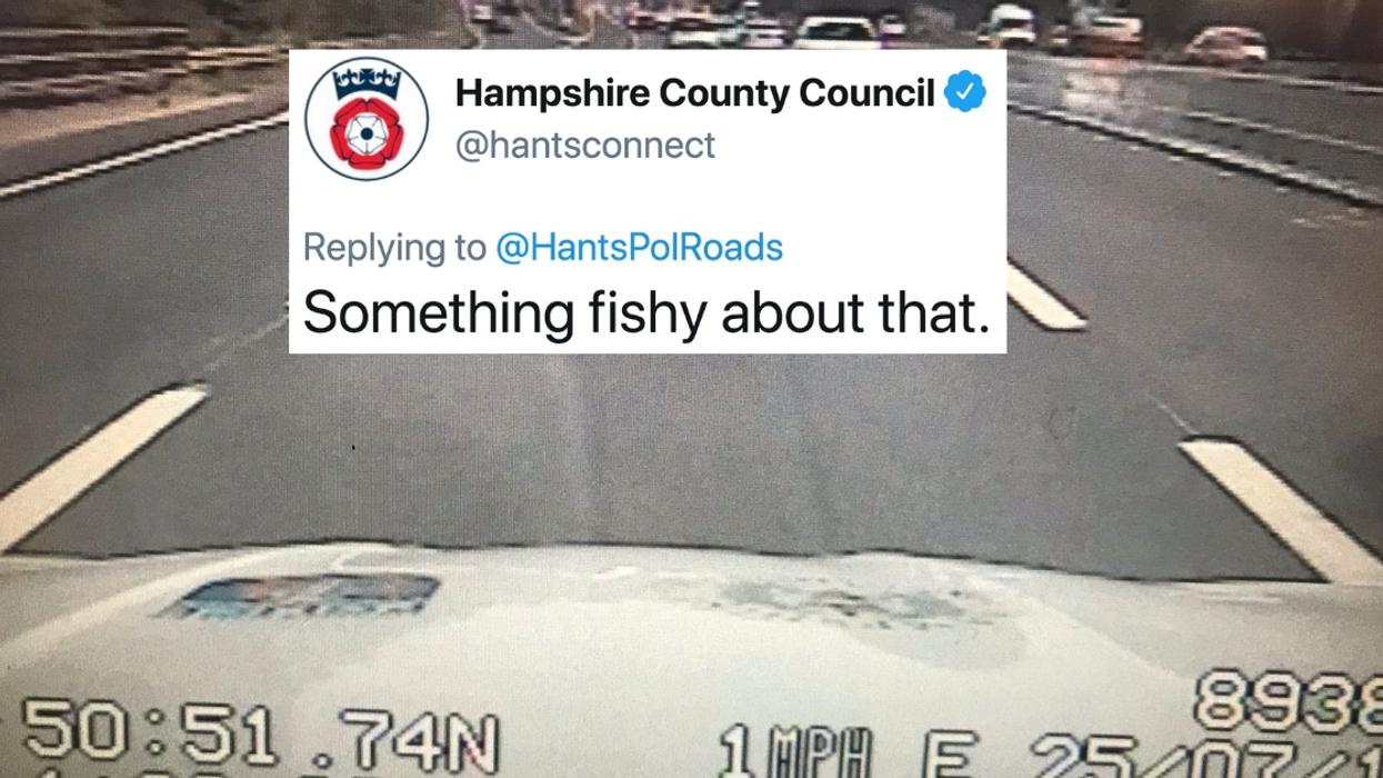 Police Pen Hilarious Post After Coming To The Rescue Of Some 'Interesting Debris' On The Highway