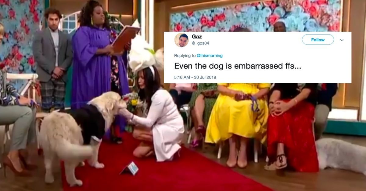 A Woman Just 'Married' Her Dog On Live Television, And People Don't Know How To Feel About It