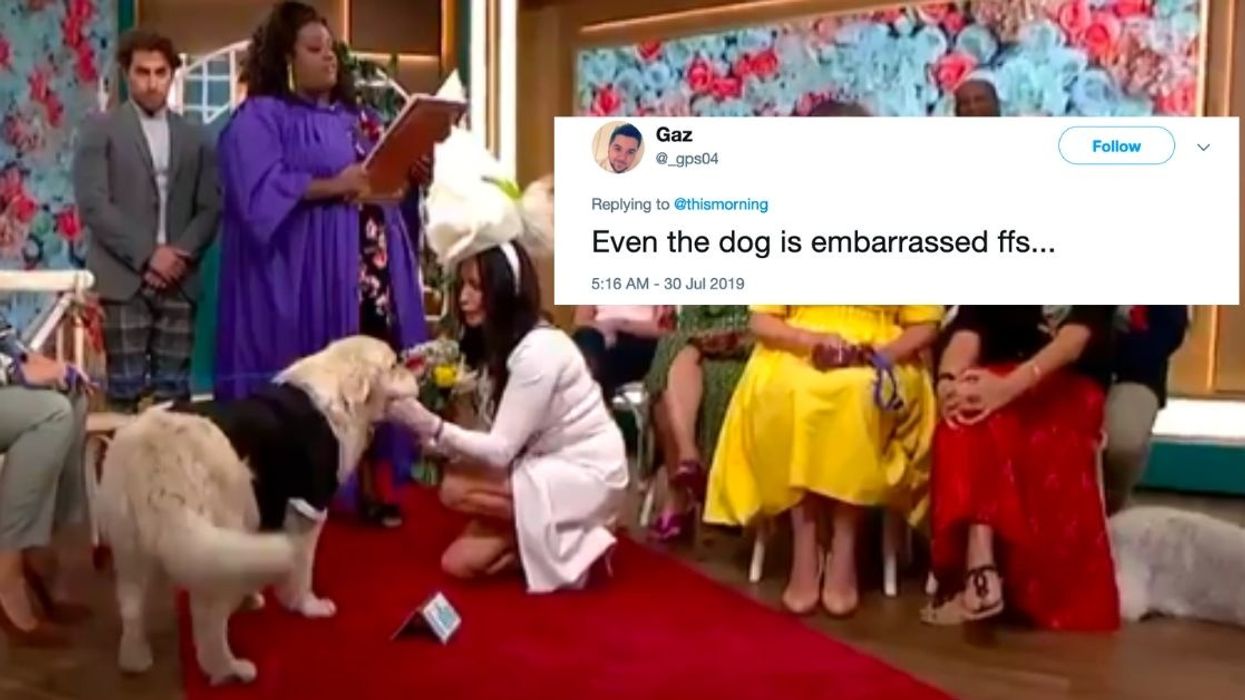 A Woman Just 'Married' Her Dog On Live Television, And People Don't Know How To Feel About It