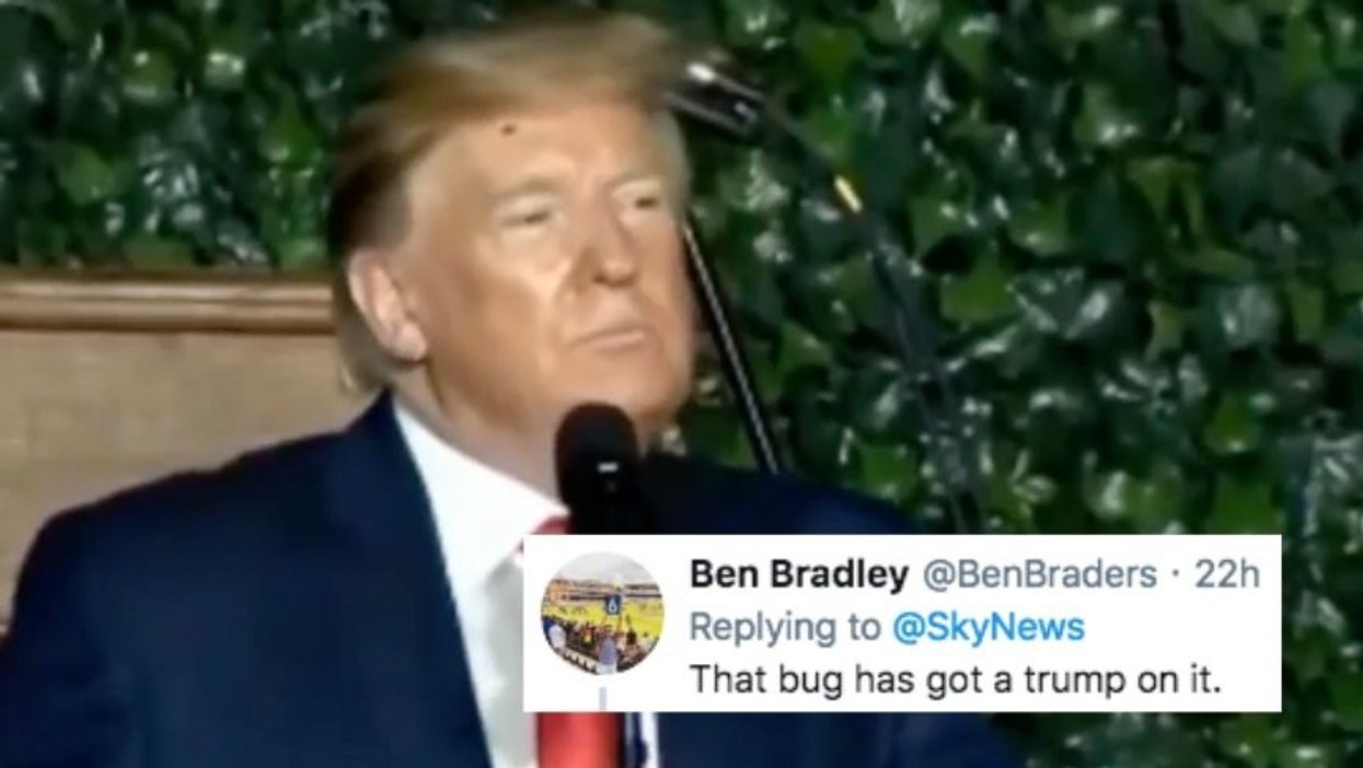 Trump Just Gave A Speech With A Bug Crawling All Over His Face And Hair, And People Are Cringing