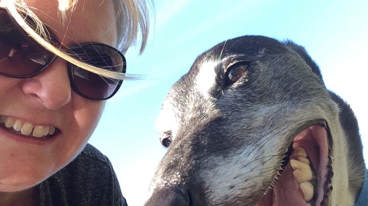 Woman Credits Her Dog For Saving Her Life After He Sniffs Out A Lime-Sized Tumor In Her Breast