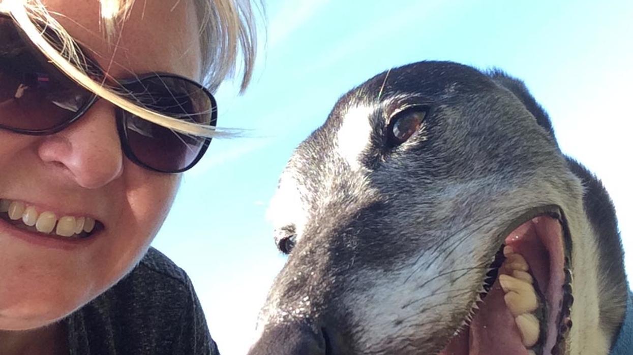 Woman Credits Her Dog For Saving Her Life After He Sniffs Out A Lime-Sized Tumor In Her Breast