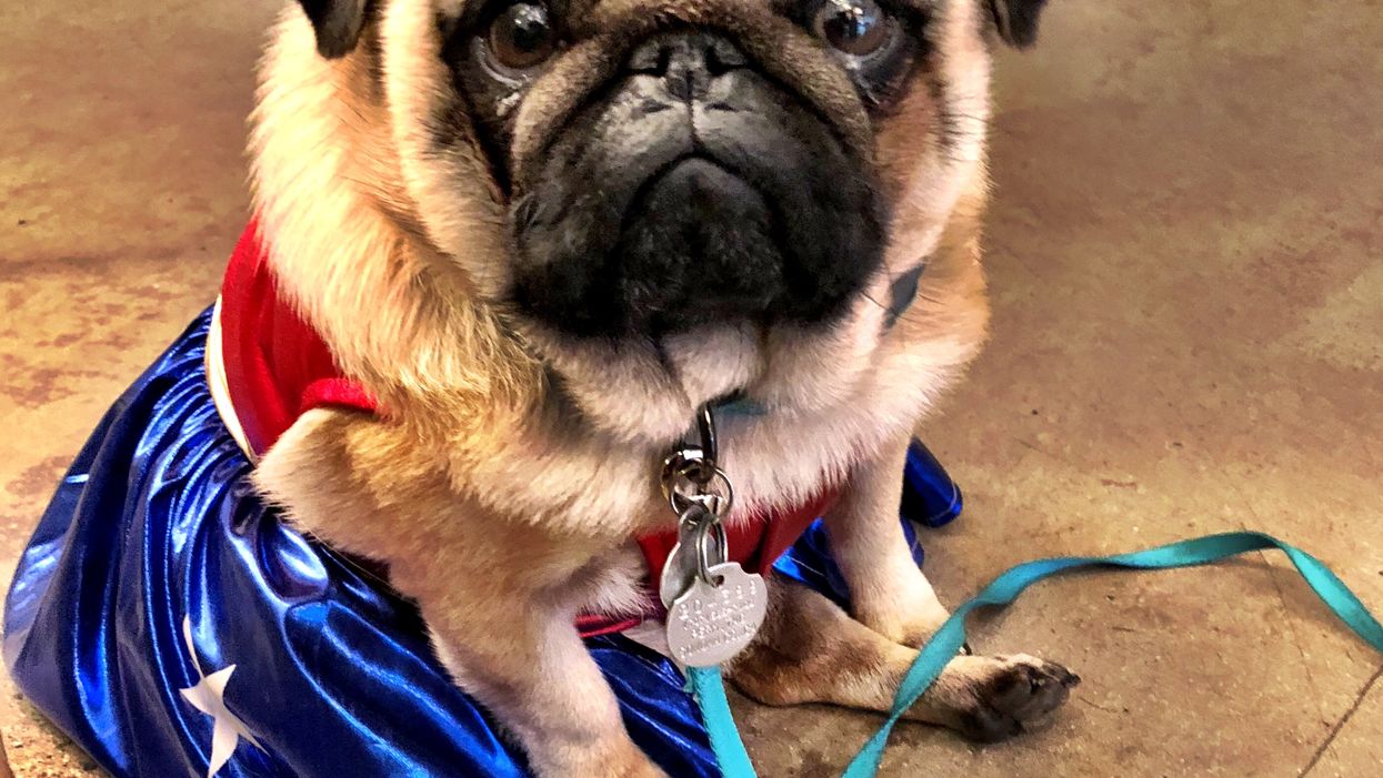 Candid People Share The Dumbest Thing They've Done Out Of Curiosity